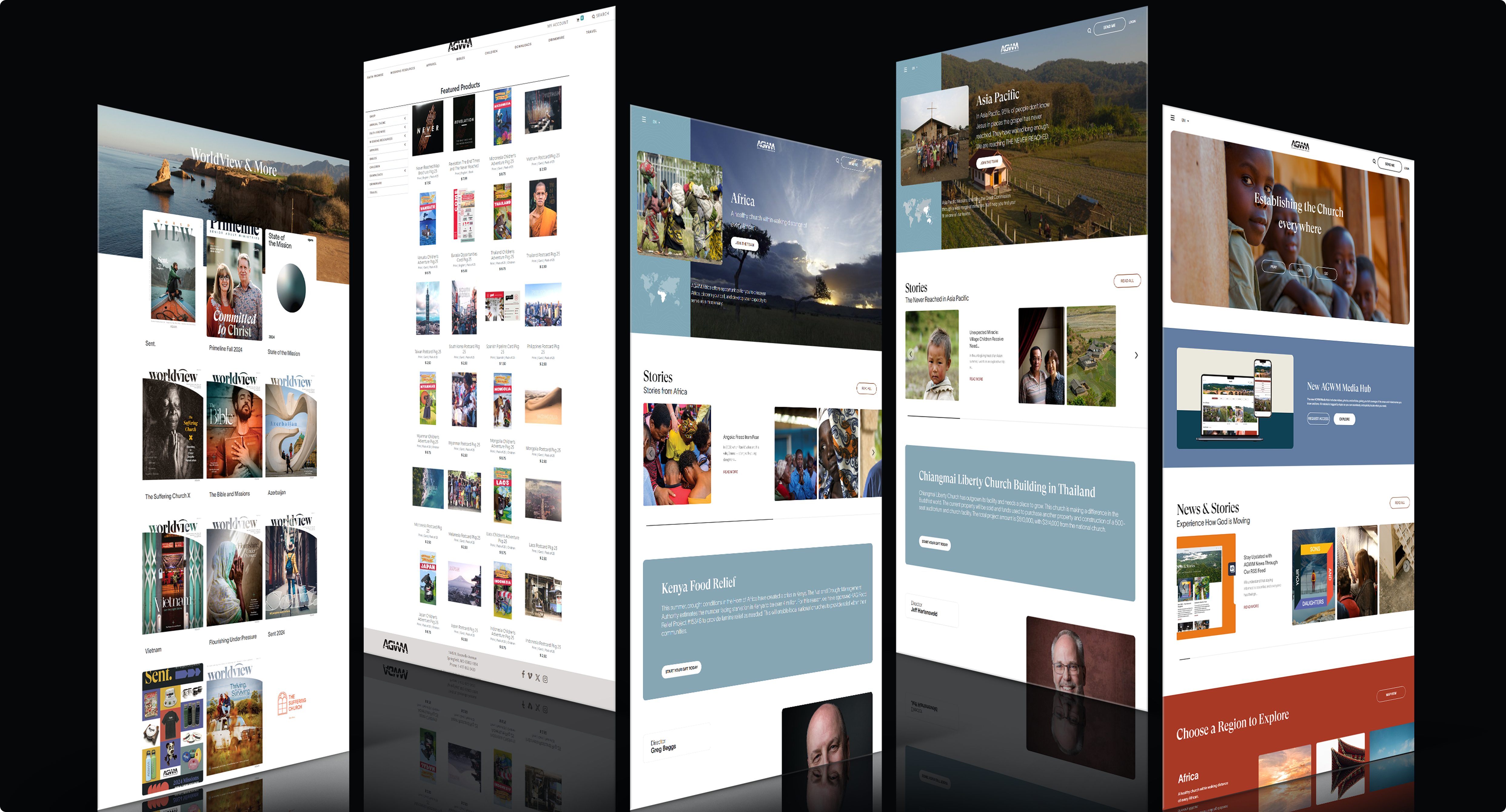 Project Showcase 1